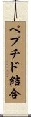 ペプチド結合 Scroll
