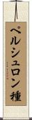 ペルシュロン種 Scroll