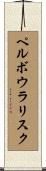 ペルボウラリスク Scroll