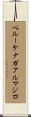 ペルーケナガアルマジロ Scroll
