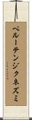 ペルーテンジクネズミ Scroll