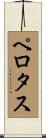ペロタス Scroll