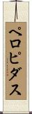 ペロピダス Scroll