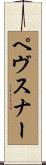 ペヴスナー Scroll