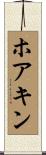 Joaquin Scroll