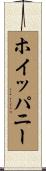 ホイッパニー Scroll