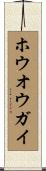 ホウオウガイ Scroll