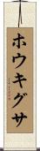 ホウキグサ Scroll