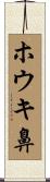 ホウキ鼻 Scroll