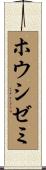 ホウシゼミ Scroll