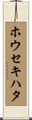 ホウセキハタ Scroll