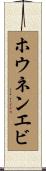 ホウネンエビ Scroll