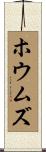 ホウムズ Scroll