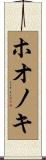 ホオノキ Scroll