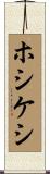 ホシケシ Scroll