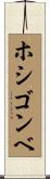 ホシゴンベ Scroll