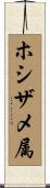 ホシザメ属 Scroll