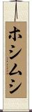 ホシムシ Scroll