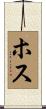 ホス Scroll