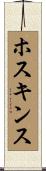 ホスキンス Scroll
