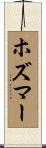 ホズマー Scroll