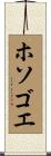ホソゴエ Scroll