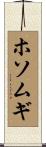 ホソムギ Scroll