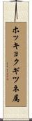 ホッキョクギツネ属 Scroll