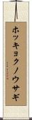 ホッキョクノウサギ Scroll