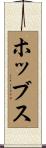 Hobbs Scroll
