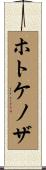 ホトケノザ Scroll