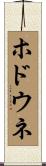 ホドウネ Scroll