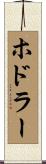 ホドラー Scroll