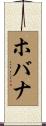 ホバナ Scroll