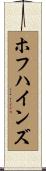 ホフハインズ Scroll
