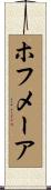 ホフメーア Scroll