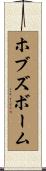 ホブズボーム Scroll