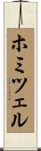 ホミツェル Scroll