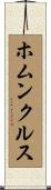 ホムンクルス Scroll