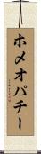 ホメオパチー Scroll
