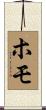 ホモ Scroll
