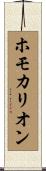 ホモカリオン Scroll