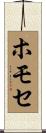 ホモセ Scroll