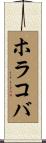 ホラコバ Scroll