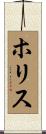 ホリス Scroll