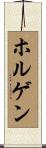 ホルゲン Scroll