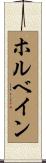 ホルベイン Scroll