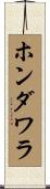 ホンダワラ Scroll