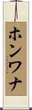 ホンワナ Scroll
