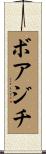 ボアジチ Scroll